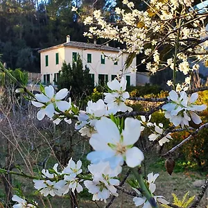 Casa rural Sa Maniga